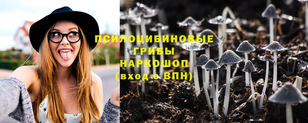 дмт Верхний Тагил