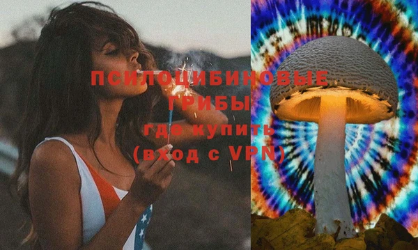 дмт Верхний Тагил