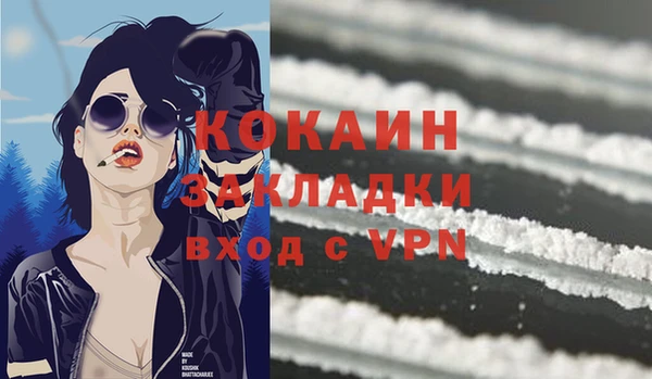 спайс Бородино